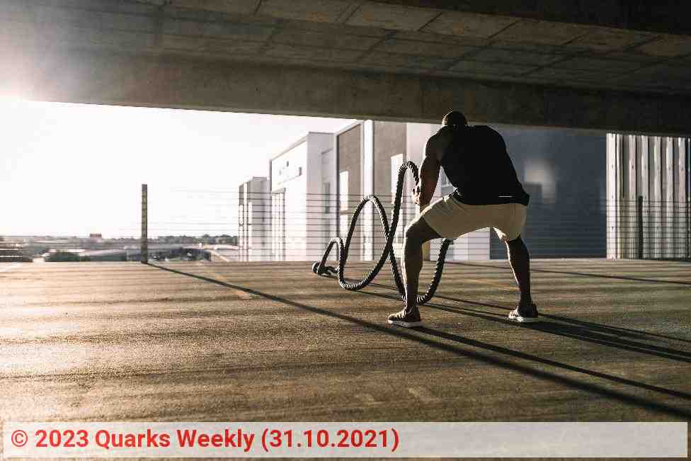 Sportler mit Battle Ropes | Foto: Quarks Weekly Sportler mit Battle Ropes | Foto: Quarks Weekly