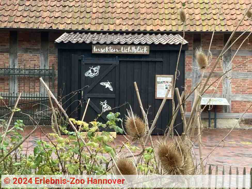 Insekten-Lichtblick | Quelle: Erlebnis-Zoo Hannover Insekten-Lichtblick | Quelle: Erlebnis-Zoo Hannover