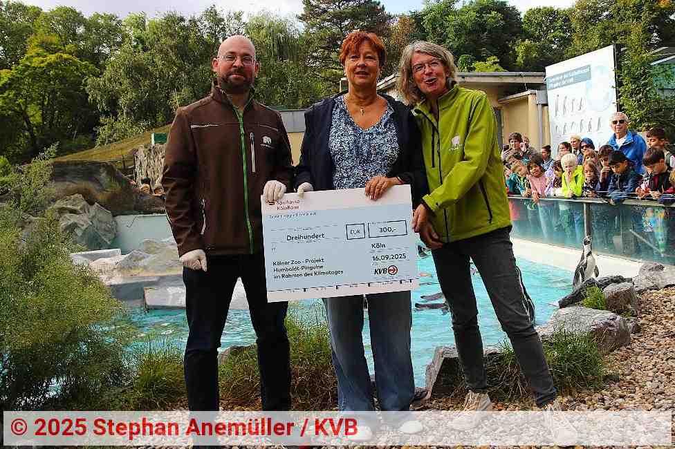 Spendenübergabe | Foto: Stephan Anemüller / KVB