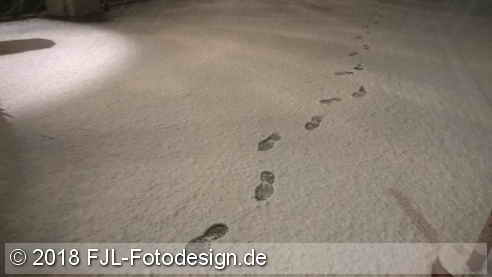 Bild des Tages vom 17.01.2018