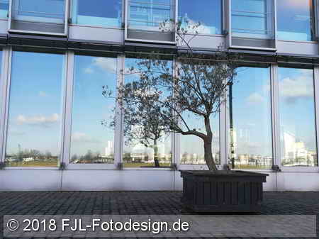 Bild des Tages vom 16.02.2018