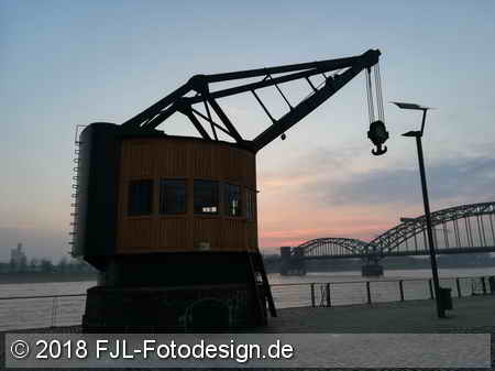 Bild des Tages vom 21.02.2018