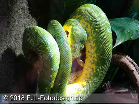 bild des Tages vom 24.02.2018