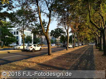 Bild des Tages vom 02.08.2018