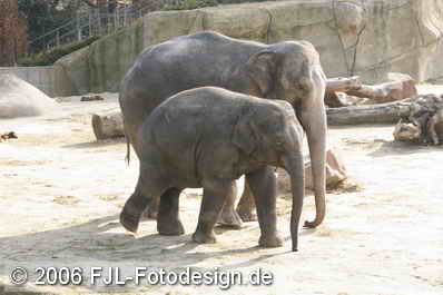Bild-Nr.: 0600728