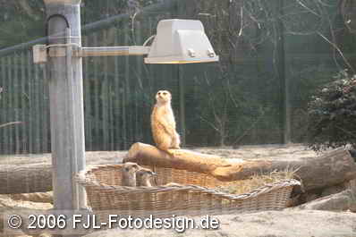 Bild-Nr.: 0600760