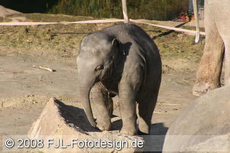 Bild-Nr.: 0800125