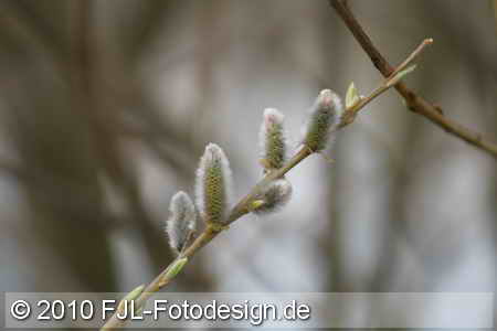 Bild-Nr.: 1002613