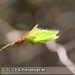 Bild-Nr./Picture No.: 1004001