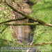 Bild-Nr./Picture No.: 1004008