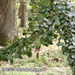 Bild-Nr./Picture No.: 1004010