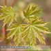 Bild-Nr./Picture No.: 1004011