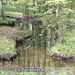 Bild-Nr./Picture No.: 1004016
