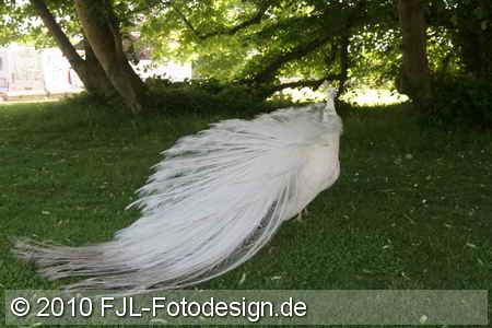 Bild-Nr.: 1005302