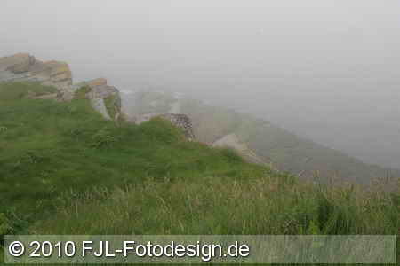 Bild-Nr.: 1005481