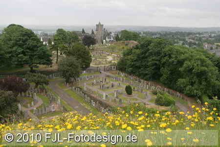 Bild-Nr.: 1005947