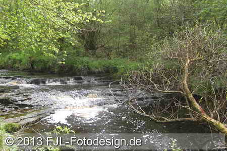 Bild-Nr.: 1305013