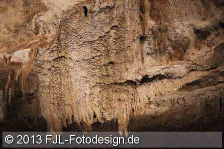 Bild-Nr.: 1305130