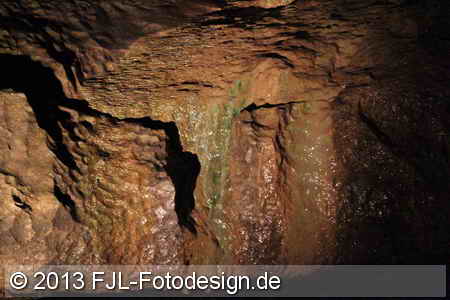 Bild-Nr.: 1305134