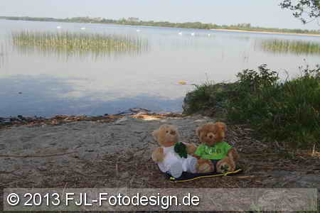 Bild-Nr.: 1305255