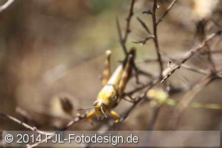Bild-Nr.: 1405695