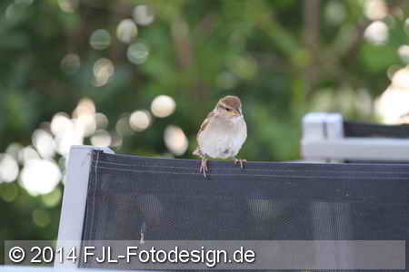 Bild-Nr.: 1405938