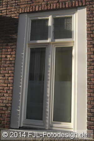 Bild-Nr.: 1408964