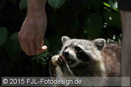 Bild-Nr.: 1504015