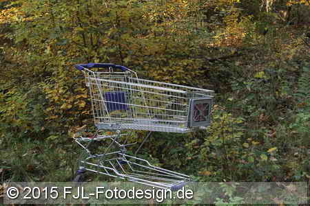 Bild-Nr.: 1506849