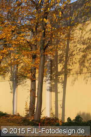 Bild-Nr.: 1506909