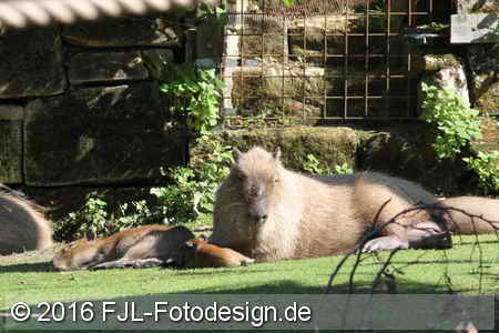 Bild-Nr.: 1602385