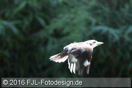 Bild-Nr.: 1602420