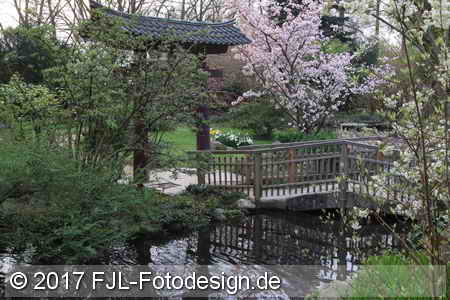 Japanischer Garten am 31. März 2017