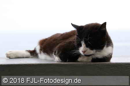 Bild-Nr.: 1804120