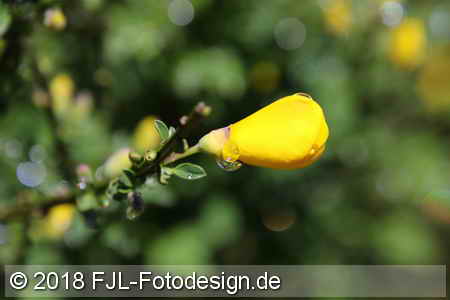 Bild-Nr.: 1804561