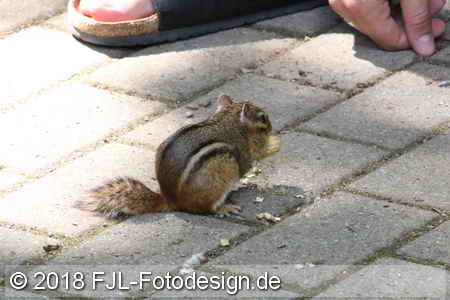 Bild-Nr.: 1805370