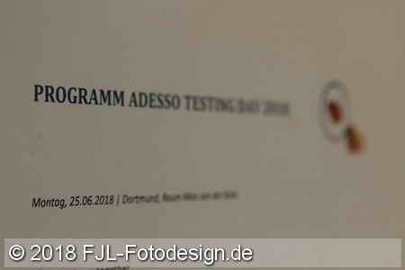 5. adesso Testing Day