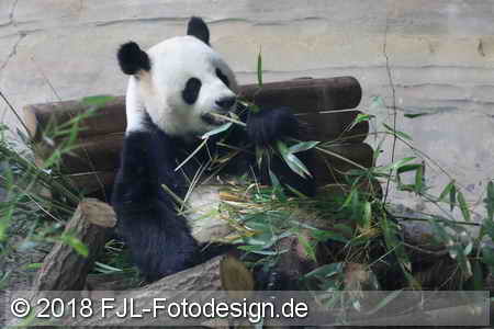 Bild-Nr.: 1806450
