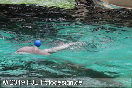 Bild-Nr.: 1902430