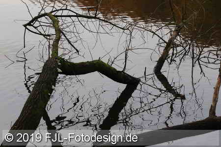 Bild-Nr.: 1903205