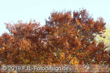 Bild-Nr.: 1903303