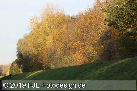 Bild-Nr.: 1903309