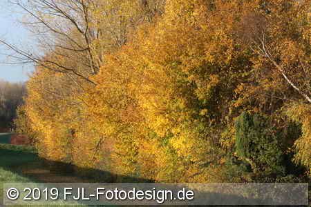 Bild-Nr.: 1903321