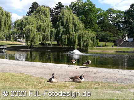 Bild-Nr.: 2001208