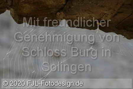 Bild-Nr.: 2001434