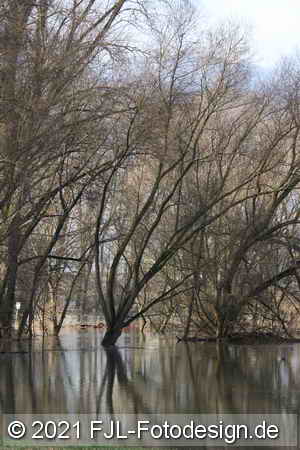 Bild-Nr.: 2100205