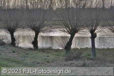 Bild-Nr.: 2100211