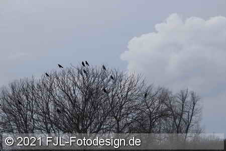 Bild-Nr.: 2100215