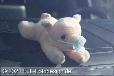 Bild-Nr.: 2100340