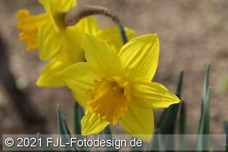 Bild-Nr.: 2100504